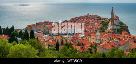 Panorama der Stadt Piran in Slowenien. Kreative Sicht der mediterranen Stadt mit Blick auf das Meer, die alte Häuser roten Dächer und Kirche Stockfoto