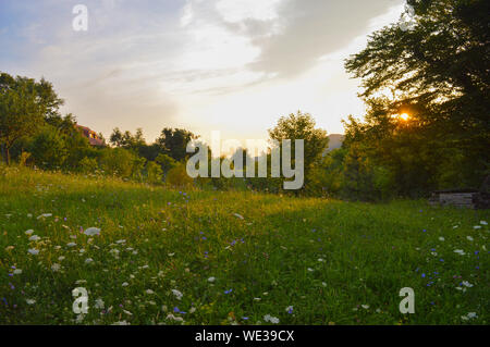 Landschaft Landschaft bei Samoborsko gorje in Kroatien, Morgen Sonne scheint durch die Baumkronen auf wildflower Meadow Stockfoto