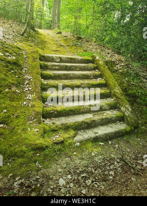 Alte steinerne Treppenstufen in den Wäldern von Moos. Geheimnisvolle Märchen Szene mit einer alten Treppe. Stockfoto