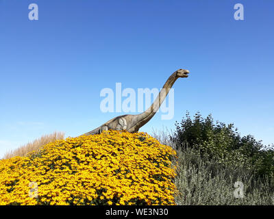 Brontosaurus langen Hals Dinosaurier pflanzenfressenden Reptilien wild Jurassic Park zum Angriff bereit Stockfoto