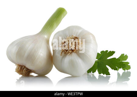 Frischer Knoblauch Zwiebeln mit Petersilie auf weißem Hintergrund Stockfoto