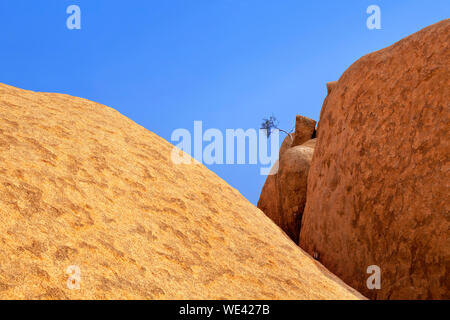 Roten kahlen Granitgipfel, eine grüne getrocknete Baum, blauer Himmel, Spitzkoppe Mountains, Naukluft National Park, Wüste Namib, Namibia, Südafrika Stockfoto