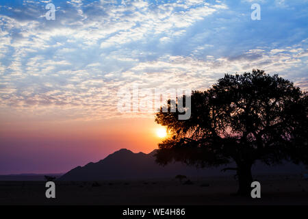 Schönen Sonnenuntergang Landschaft, Big Crown Baum und Berge Silhouette am hellen Himmel mit Blau, Lila, Rot und weißen Wolken Hintergrund Stockfoto