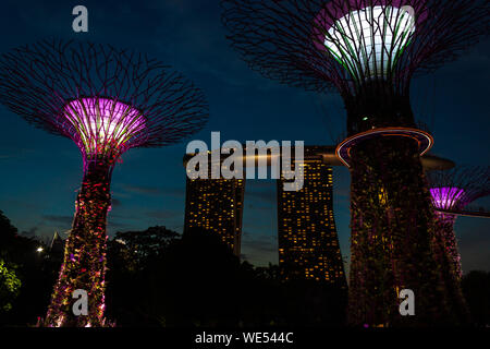 Singapur, Singapur - 28. März 2016: Supertrees für Light Show in Gärten durch die Bucht leuchtet Stockfoto