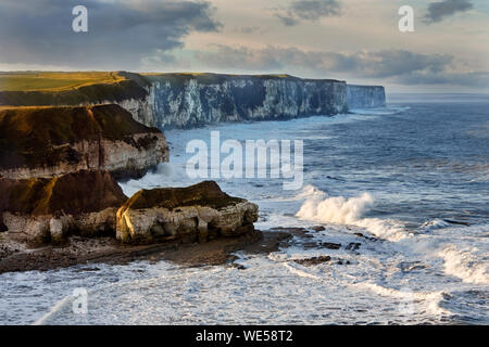 Die Ansicht von Bempton Cliffs von thornwick Bay, Flamborough Head, East Yorkshire, Großbritannien. Stockfoto