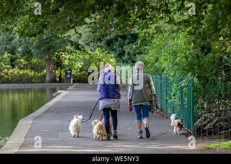 Northampton, Großbritannien. 30. August 2019. Wetter. Herbstliche Wetter heute morgen für den Hund Wanderer in Abington Park, die meisten tragen extra Kleidung wegen der kühleren Luft am Morgen. Credit: Keith J Smith./Alamy leben Nachrichten Stockfoto