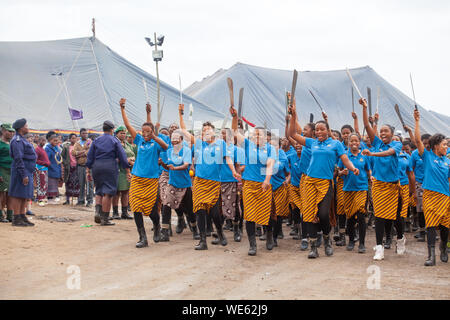 Mbabane, Swasiland - 31. August 2017: Umhlanga Reed Dance Zeremonie traditionelle Ritus Jungfrau, Mädchen mit großen Messern machete Gehe zu Feld Reed zu schneiden Stockfoto