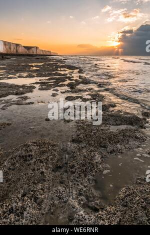 Frankreich, Somme, Ault, Dämmerung auf den Klippen bei Ault, der Ebbe entdeckt die kalkigen Plateau am Meer und die feuersteine, die die Kieselsteine werden gegessen Stockfoto