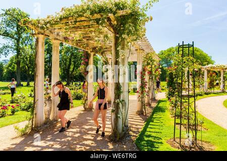 Frankreich, Rhone, Lyon, Park von La Tête d'Or, die Roseraie Internationale Stockfoto