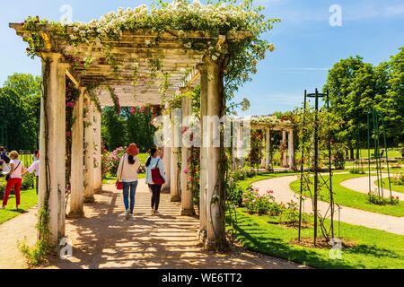 Frankreich, Rhone, Lyon, Park von La Tête d'Or, die Roseraie Internationale Stockfoto