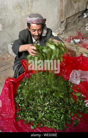 KHAT IN JEMEN Stockfoto