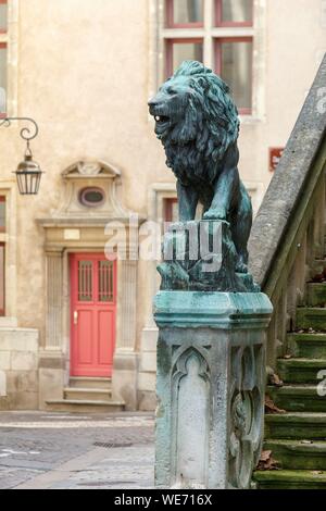 Frankreich, Meurthe et Moselle, Nancy, Altstadt, Skulptur eines Löwen auf der Treppe von Saint Epvre Basilika und die Fassade eines Hauses Stockfoto