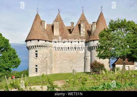 Frankreich, Dordogne, Purple Perigord, das Schloss von Monbazillac, wo der berühmte Wein hergestellt wird Stockfoto