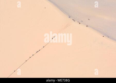 Frankreich, Gironde, Côte d'Argent, Parc naturel Marin du Bassin d'Arcachon (Arcachon Bay Marine Naturpark), La Teste de Buch, Pyla sur Mer, Dune du Pilat (Luftbild) Stockfoto