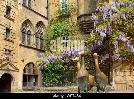 Frankreich, Dordogne, Périgord Noir, Sarlat la Caneda, Marche Aux Oies Square, stadtbild eines architektonischen Blick auf einen Platz und die angrenzenden historischen Gebäude in der Altstadt von Sarlat Stockfoto