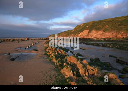 Frankreich, Pas de Calais, Boulogne-sur-Mer, Cap Gris Nez, Framzelle Strand am Cap Gris Nez bei Ebbe Stockfoto