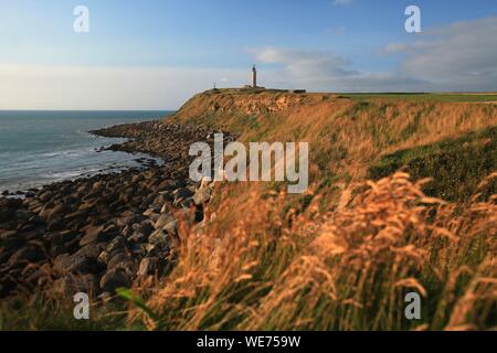 Frankreich, Pas de Calais, Boulogne-sur-Mer, Cap Gris Nez, Spaziergang an der Steilküste zum Leuchtturm Stockfoto