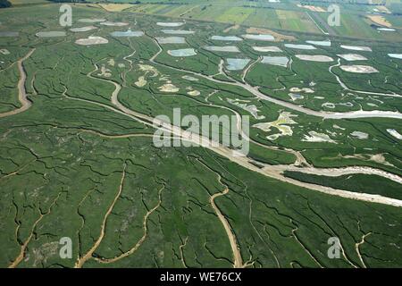 Frankreich, Somme, Les Mollieres in der Bucht der Somme (Luftbild) Stockfoto