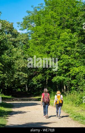 Frankreich, Paris, entlang der GR® Paris 2024, metropolitan Weitwanderweg in Unterstützung von Paris Angebot für die 2024 olympischen Spiele erstellt, Bois de Boulogne Stockfoto