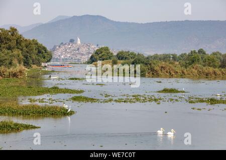 Mexiko, Michoacán, Patzcuaro, weiße Pelikane auf Patzcuaro See und Insel Janitzio Stockfoto