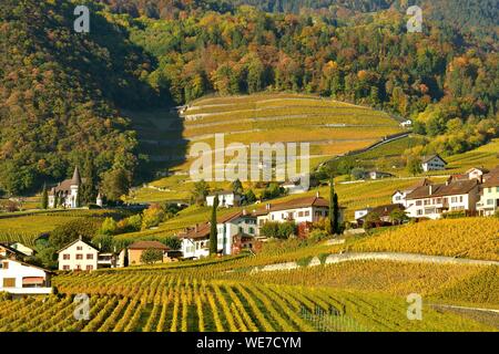 Schweiz, Kanton Waadt, Yvorne, eine kleine Stadt umgeben von Weinbergen Stockfoto