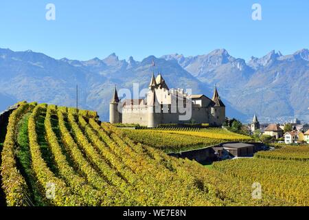 Schweiz, Kanton Waadt, Aigle, das Schloss von Weinbergen umgeben Stockfoto