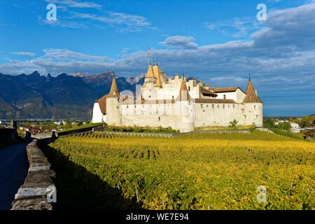 Schweiz, Kanton Waadt, Aigle, das Schloss von Weinbergen umgeben Stockfoto