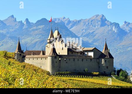 Schweiz, Kanton Waadt, Aigle, das Schloss von Weinbergen umgeben Stockfoto