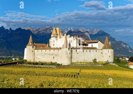 Schweiz, Kanton Waadt, Aigle, das Schloss von Weinbergen umgeben Stockfoto