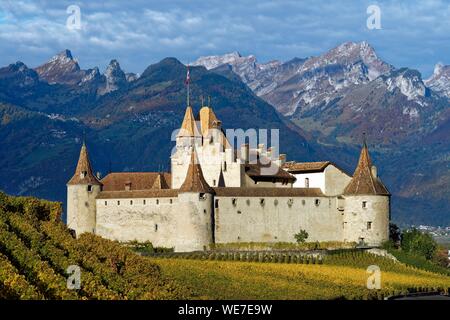 Schweiz, Kanton Waadt, Aigle, das Schloss von Weinbergen umgeben Stockfoto