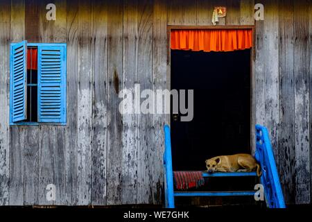 Kambodscha, Kompong Thom Provinz Kompong Thom oder Kampong Thom, traditionellen Haus Stockfoto