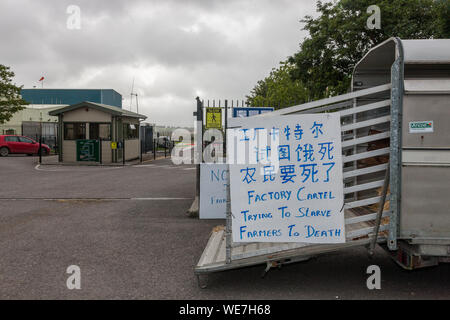 Bandon, Cork, Irland. 30 August, 2019. Trotz einem Gericht injuction, Landwirte weiterhin außerhalb des ABP Verarbeitungsbetrieb in Bandon, Co.Cork zu protestieren. Gruppe der Landwirte haben bereits das Ergebnis der Gespräche in der vergangenen Woche abgelehnt, die darauf abzielen, die bessere Preise fuer Rindfleisch und werden weiterhin ihre streikposten. Kredit; David Creedon/Alamy leben Nachrichten Stockfoto