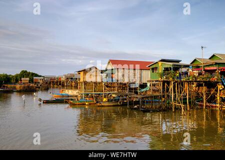 Kambodscha, Kompong Phluc oder Kampong Phluc, in der Nähe von Siem Reap, stelzenhaus Dorf, überschwemmten Wald am Ufer des Tonlé Sap See Stockfoto