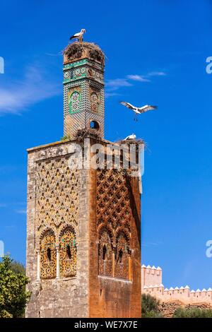 Marokko, Rabat, als Weltkulturerbe von der UNESCO, die Moschee in der alten muslimischen Heiligtum der Chellah Stockfoto