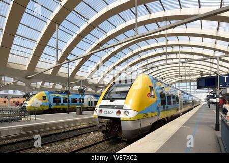 Frankreich, Paris, Reims, Bahnhof, gelbe und blaue Zug entlang der Docks geparkt Stockfoto