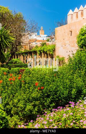 Marokko, Rabat, als Weltkulturerbe von der UNESCO, Udayas (kasbah Kasbah des Oudaïas), der andalusische Garten Stockfoto