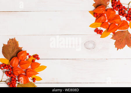 Herbst flach orange winter Kirsche, Blätter, Vogelbeeren auf weißem Holz- Hintergrund mit kopieren. Flach, Ansicht von oben. Herbst, Halloween conce Stockfoto