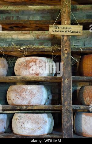 Italien, Emilia Romagna, Polesine Zibello in der Nähe von Parma, Antica Corte Pallavicina, Räder von Parmigiano Reggiano Stockfoto