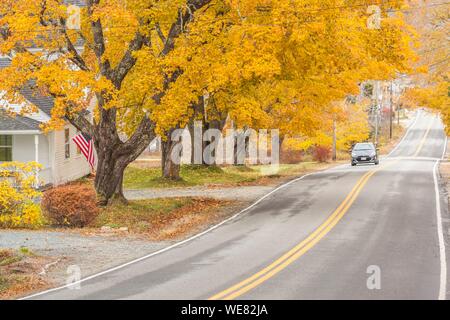 Usa, Maine, Deer Isle, Sunset Road, Herbst Stockfoto