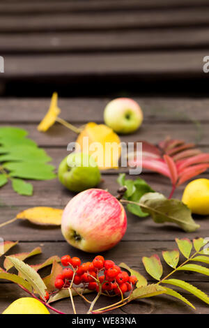 Red Rowan Früchte, reife Äpfel, Birnen mit Herbstlaub auf braunem Holz- Hintergrund Stockfoto