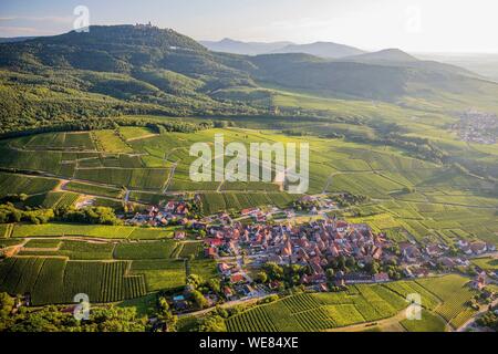 Frankreich, Haut Rhin, an der Weinstraße des Elsaß, Colmar Dorf und Haut Koenigsbourg Schloss (Luftbild) Stockfoto