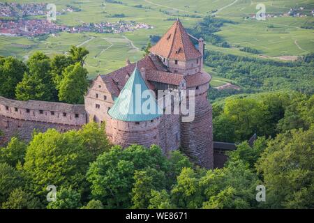 Frankreich, Bas Rhin, Orschwiller, Elsass Wein Straße, Haut Koenigsbourg Schloss (Luftbild) Stockfoto