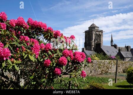 Frankreich, Finistere, Locronan, Kirche, Haus, beschriftet Les Plus beaux villages de France (Schönste Dörfer Frankreichs), Rhododendron in voller Blüte Stockfoto