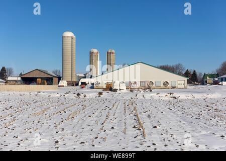 Kanada, in der Provinz Quebec, Via Rail Zug zwischen Quebec und Montreal, Centre-du-Québec region, Drummondville Bereich Farm Stockfoto