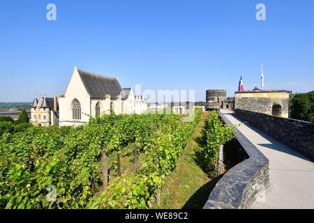 Frankreich, Maine et Loire, Angers, das Schloss der Herzöge von Anjou durch Saint Louis, Kapelle und das königliche Haus gebaut Stockfoto