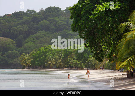 Kolumbien, Ziyaaraiyfushi, Centro Strand, Mann und seine kleine Tochter zu Fuß auf den Strand von Sureste umgeben von tropischer Vegetation und durch die Karibik getaucht Stockfoto