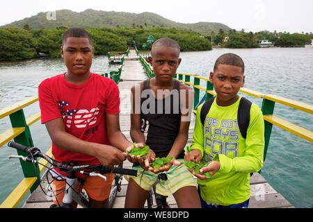 Kolumbien, Ziyaaraiyfushi, Brücke, Insel Providencia und Santa Catalina Island Stockfoto