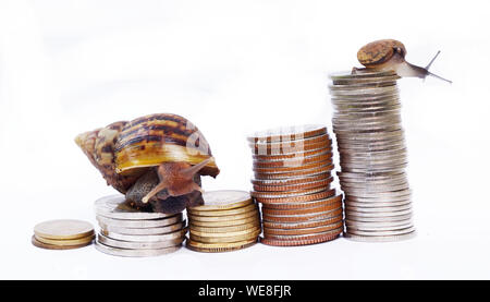 Zwei Schnecke klettern Haufen Münzen auf weißem Hintergrund, Sieg und Erfolg von Geduld, während langsames Wirtschaftswachstum, Wettbewerb, in der kleinen Gruppe Stockfoto