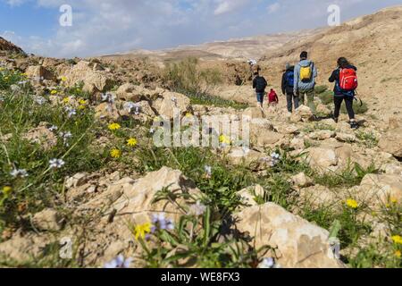 Israel, Judäa und Samaria region, Judäische Wüste, Trekking in Kfar Hanokdim, Bereich von Masada National Park et Ein Gedi Naturreservat Stockfoto