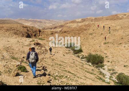 Israel, Judäa und Samaria region, Judäische Wüste, Trekking in Kfar Hanokdim, Bereich von Masada National Park et Ein Gedi Naturreservat Stockfoto